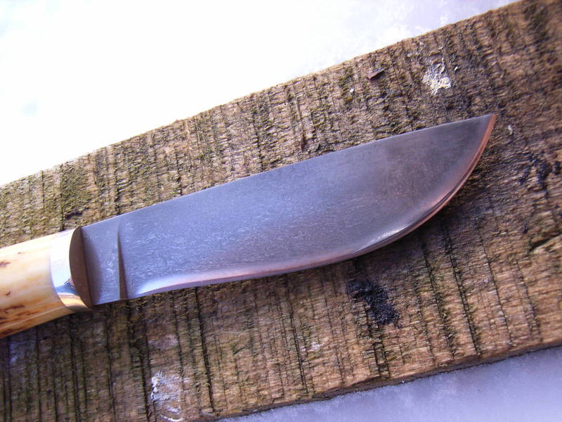 RIMG0016.JPG