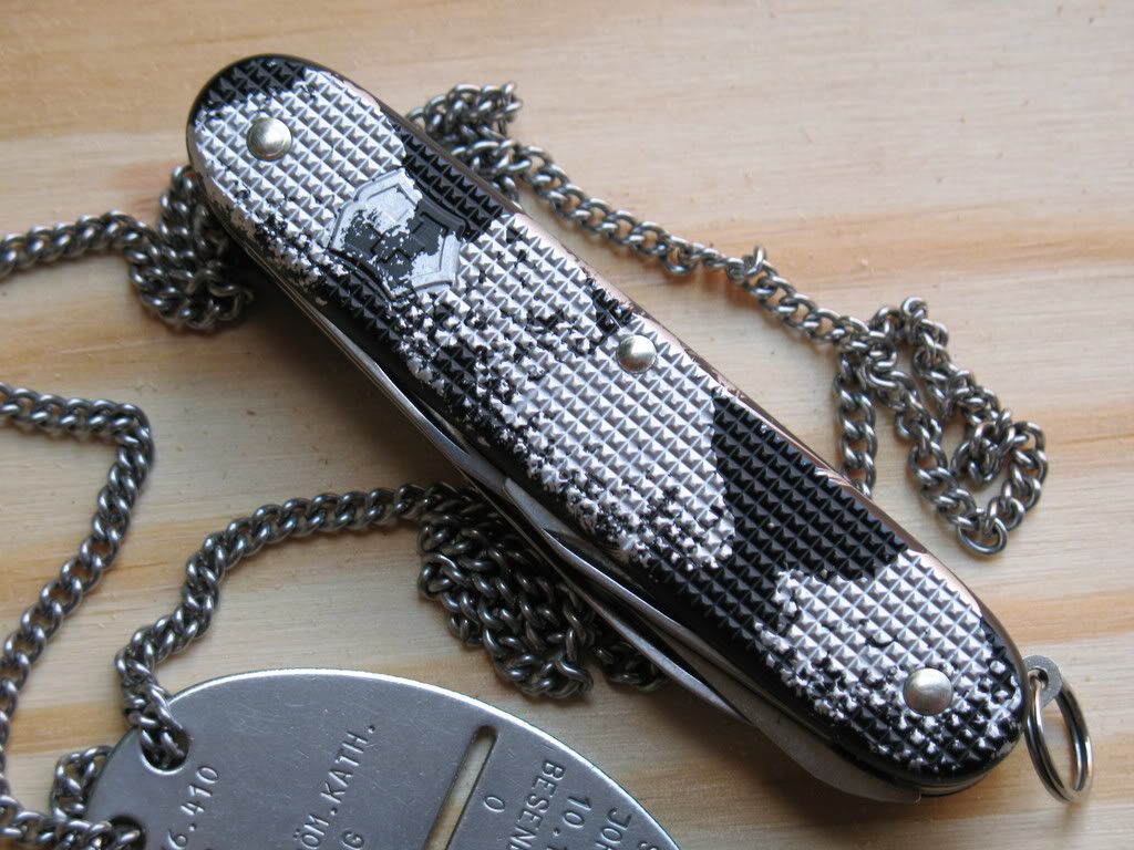 splashwithswissdogtag.jpg