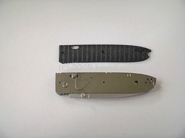SchaleLg-1.jpg