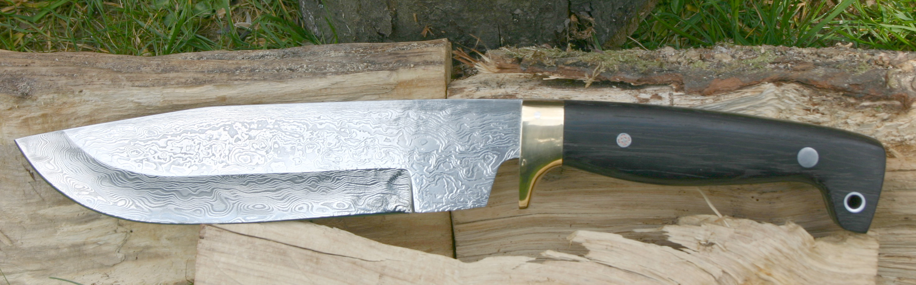 stotz02.jpg
