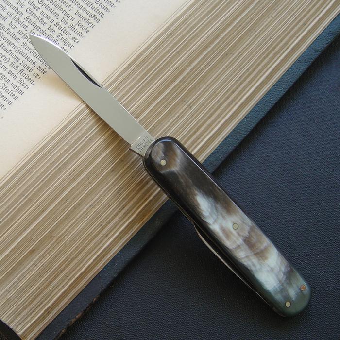 5549680.jpg