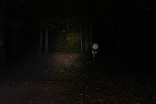 TK20_LO_1_550_x_550_.jpg