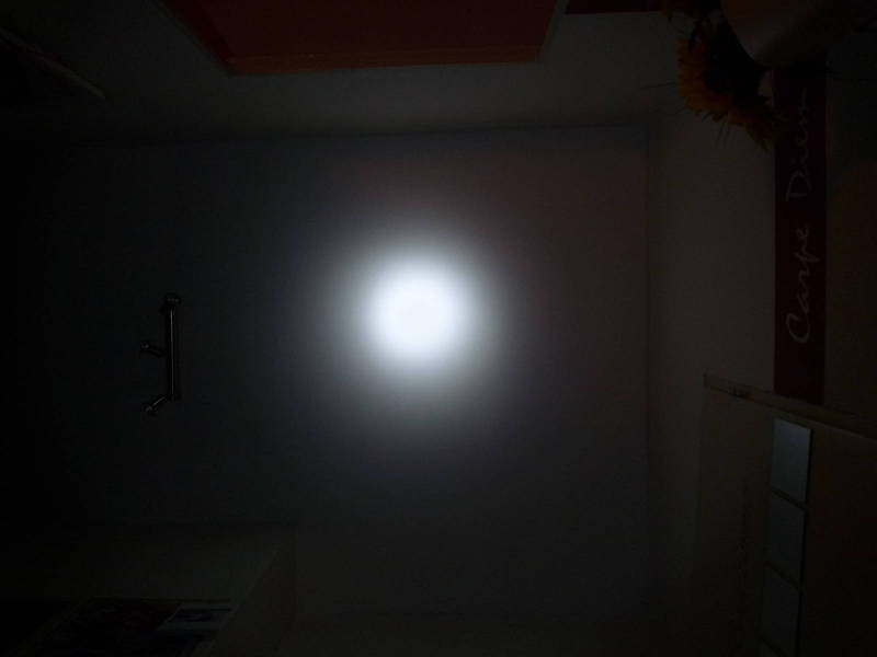 P1010045.JPG