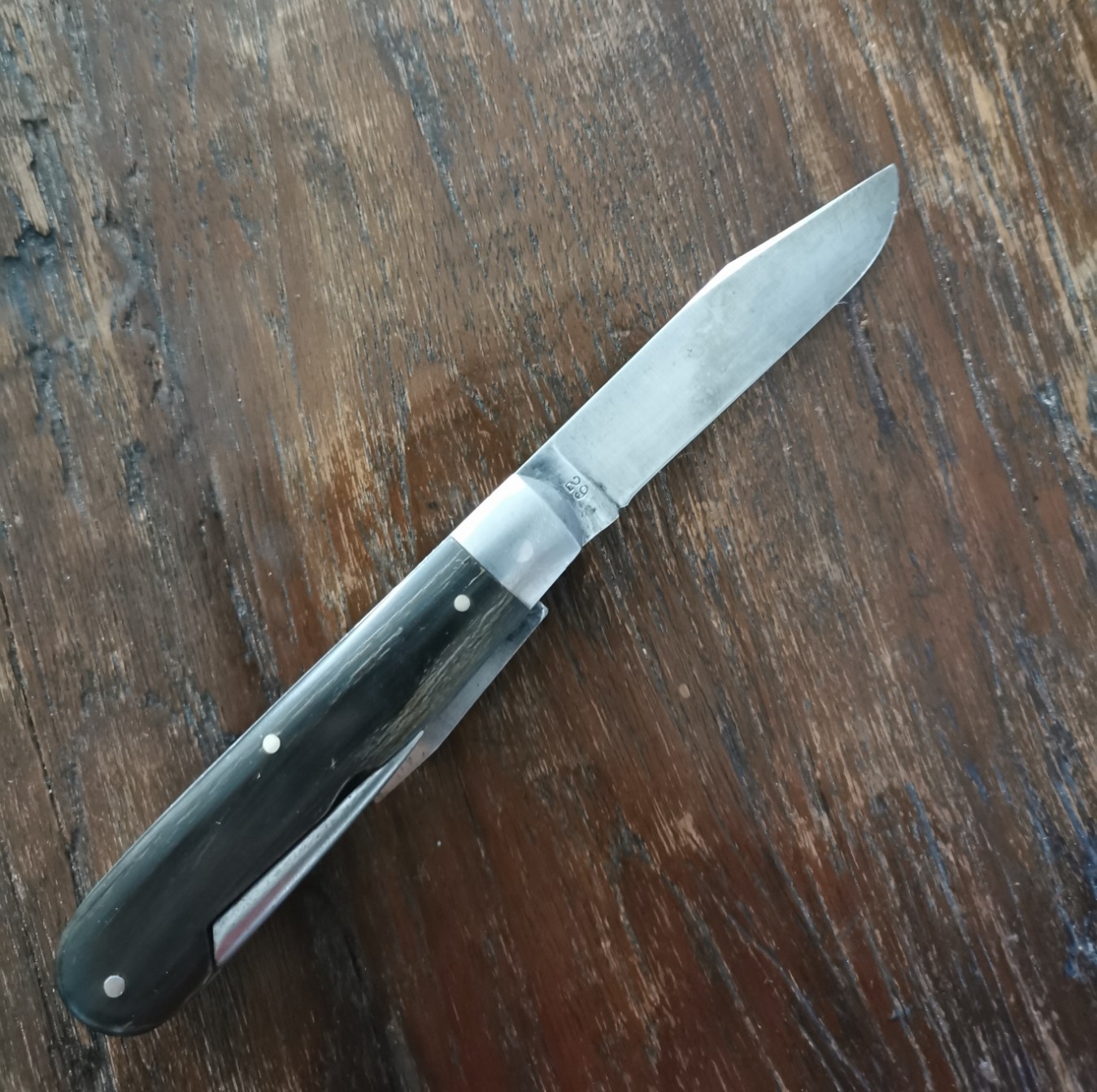 Elsener29-002.jpg