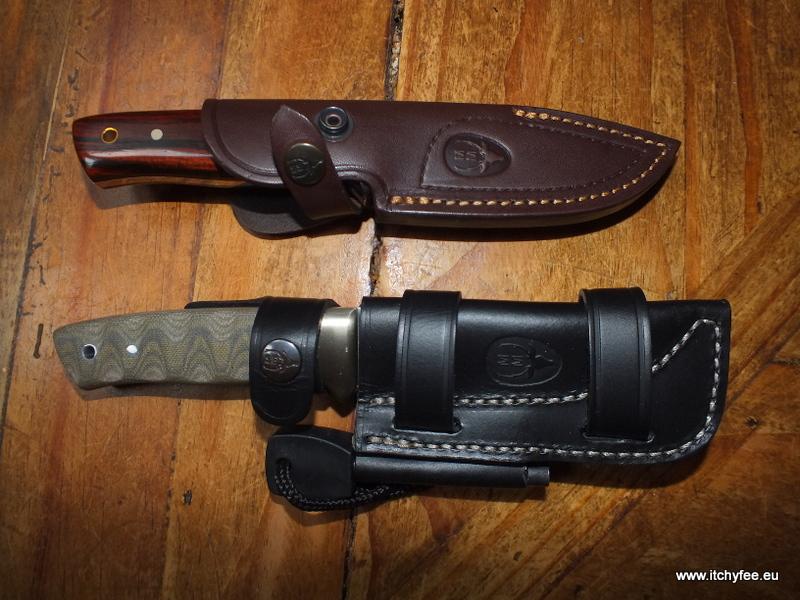 Kodiak_Mircarta13.jpg
