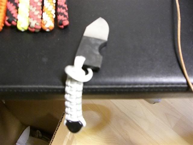 CIMG3118Small.jpg