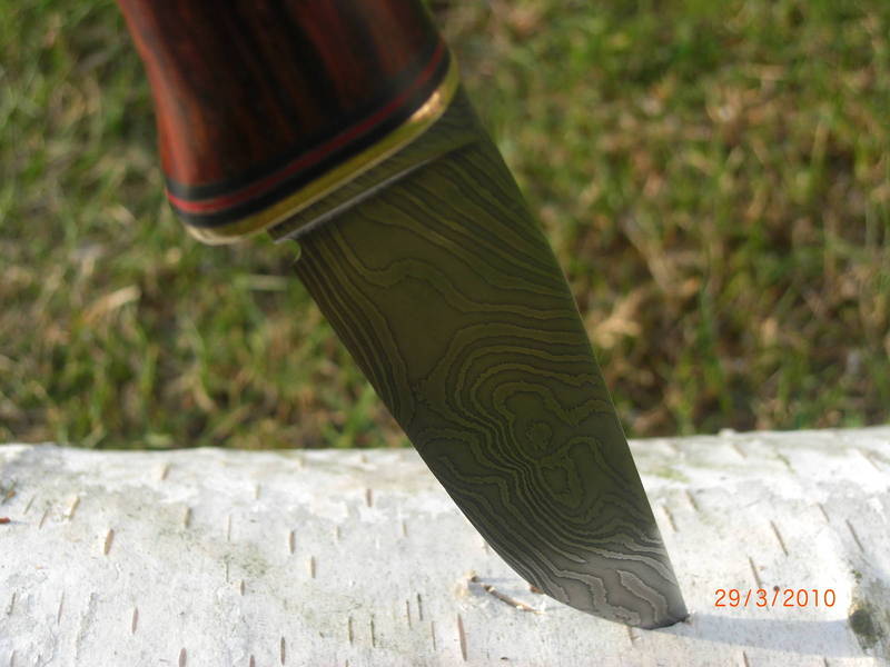 CIMG1626.JPG
