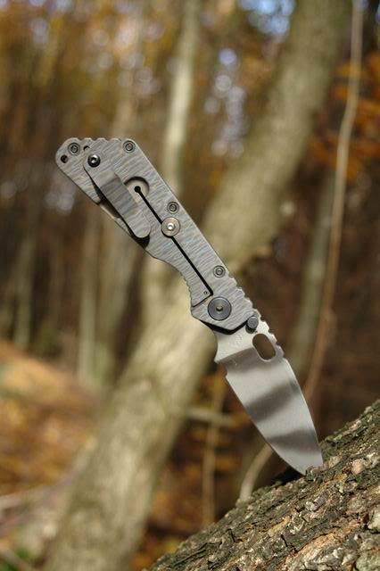 Strider_SMF_GG_G10_003.jpg
