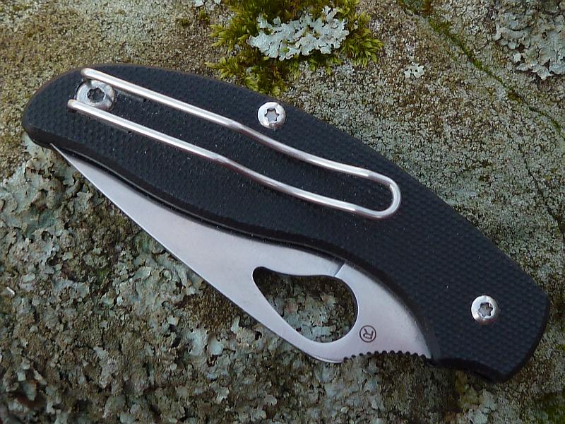 mf_tern02.jpg
