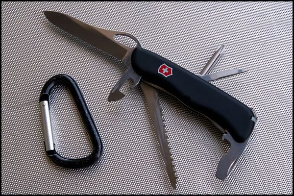swiss03.jpg