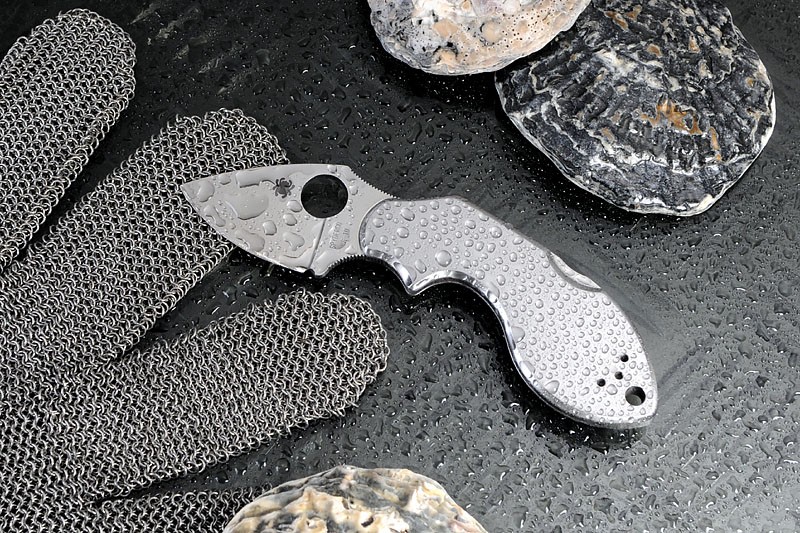 spydercolavaaustern0258.jpg