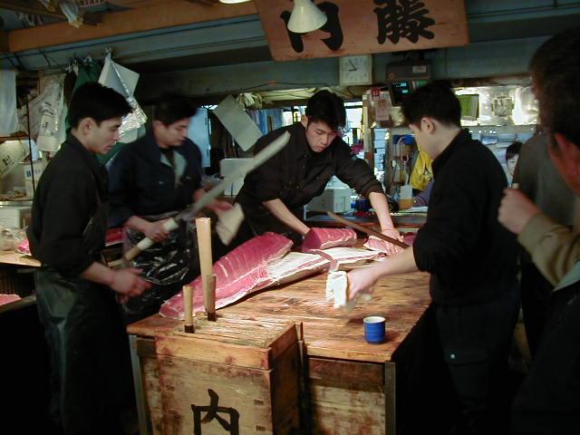 084-fishcut.lg.jpg