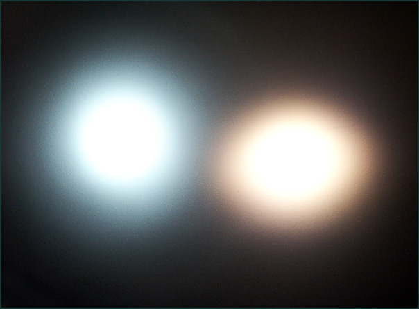 bild3.jpg