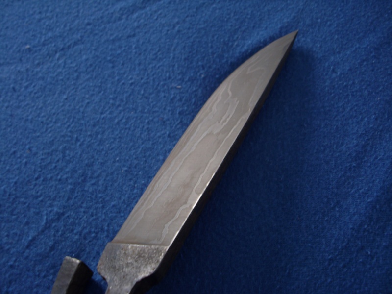 dsci0115.jpg