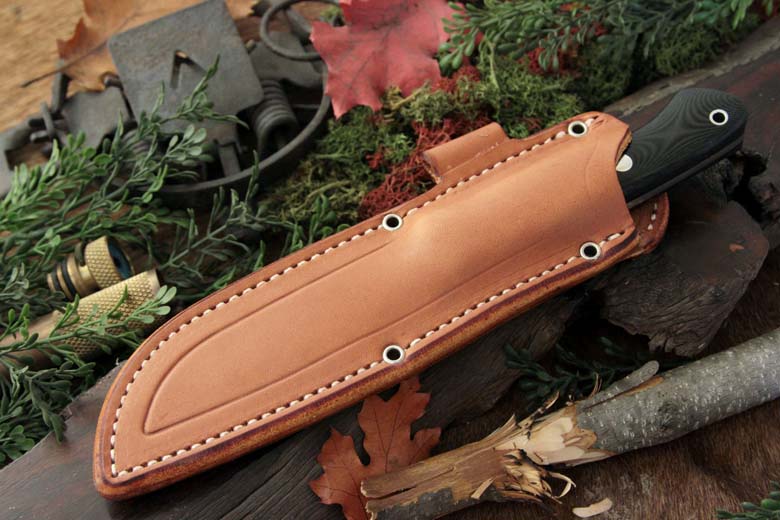 aurora_lt_a2_sheath_shot.jpg