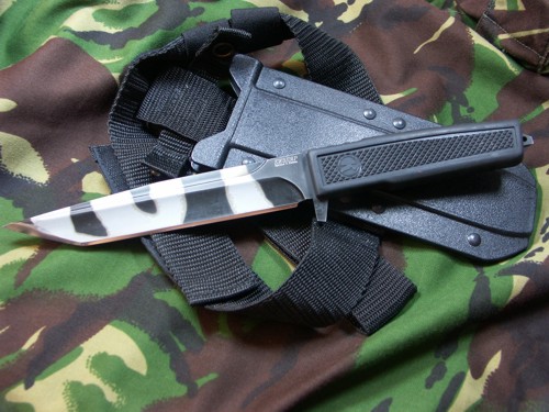 Kyzlyar_condor1.jpg