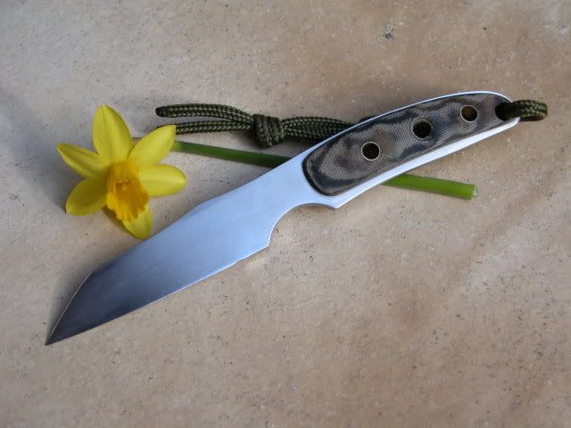 DSCN1108.jpg