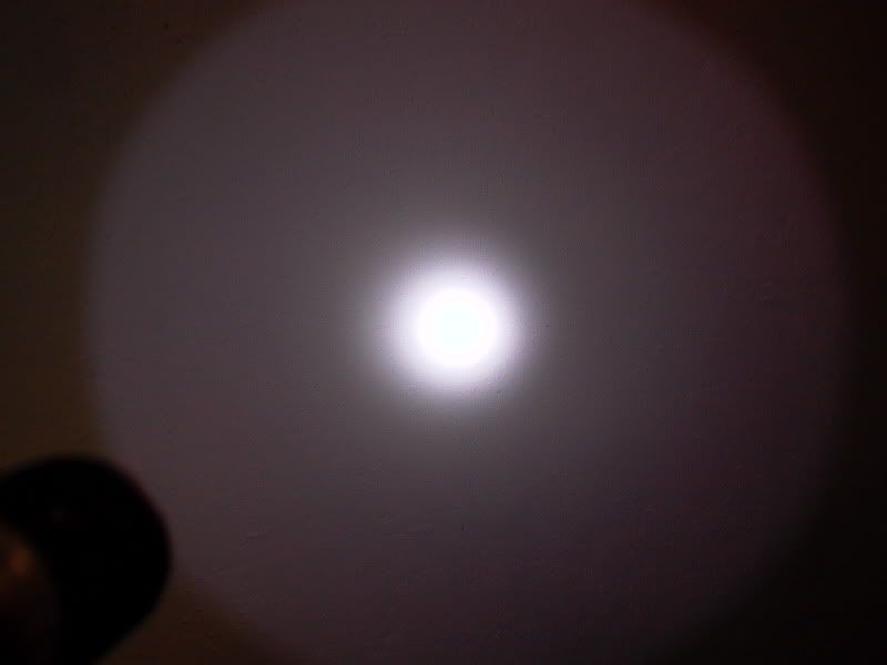 P1000058.jpg