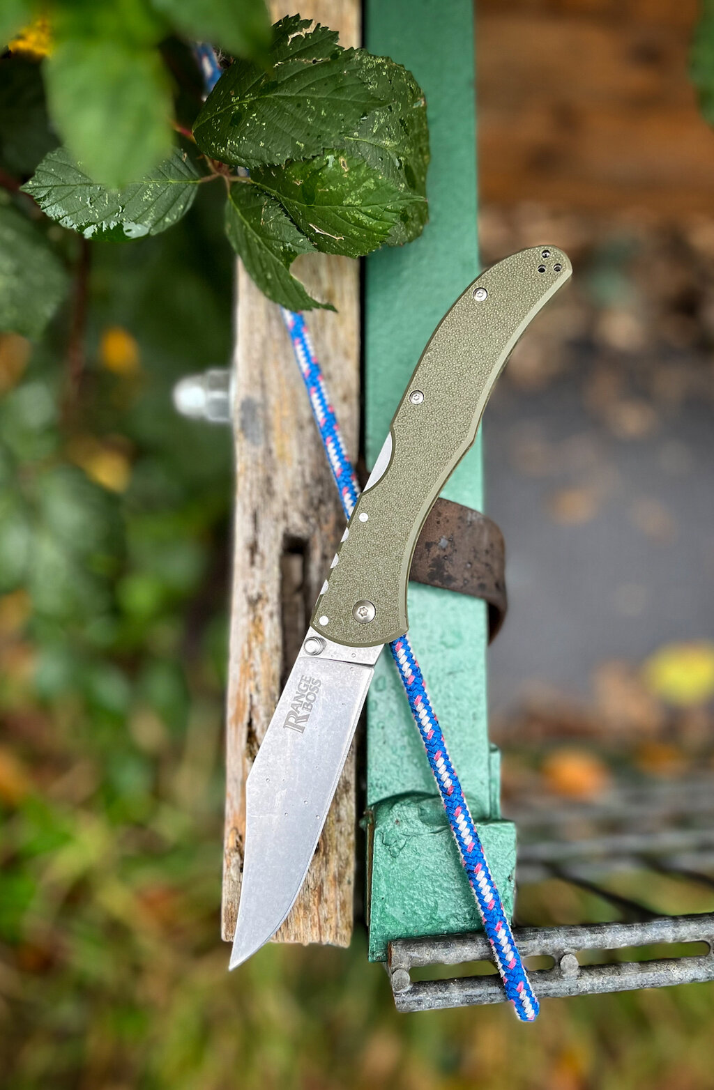 48814897nq.jpg