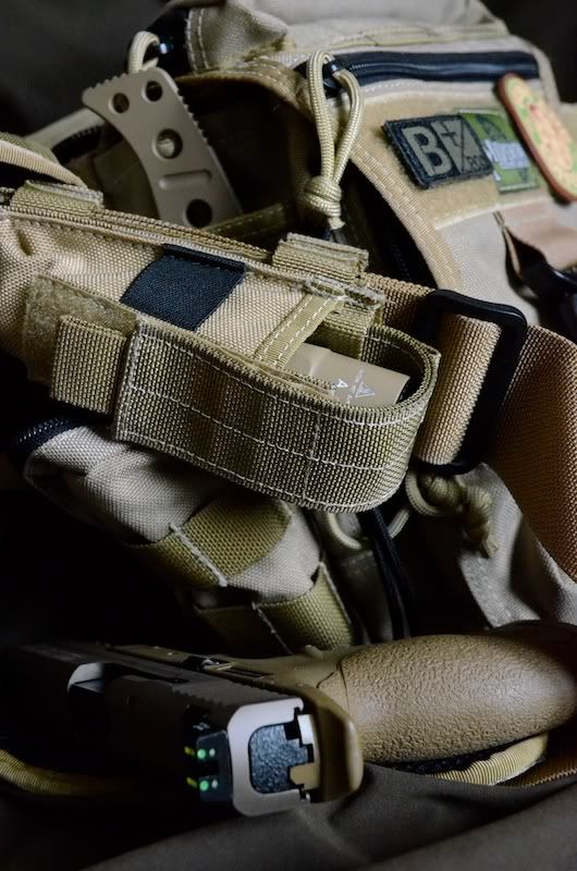 Coyote_Tan_FlatDark_Earth_005.jpg