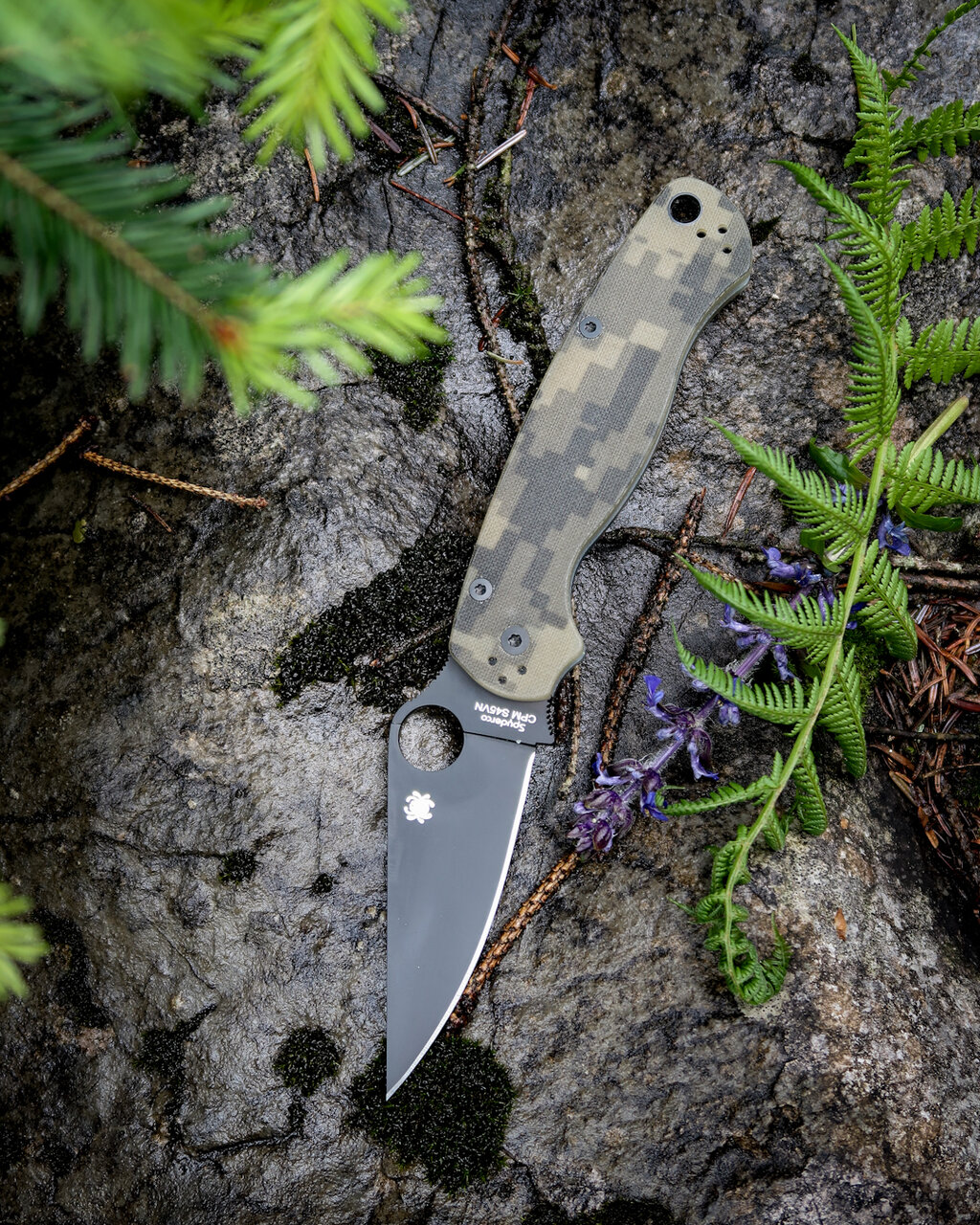 48528325ej.jpg
