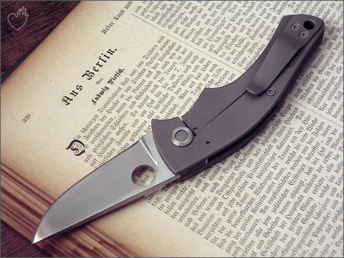 anso_rebel_06.jpg