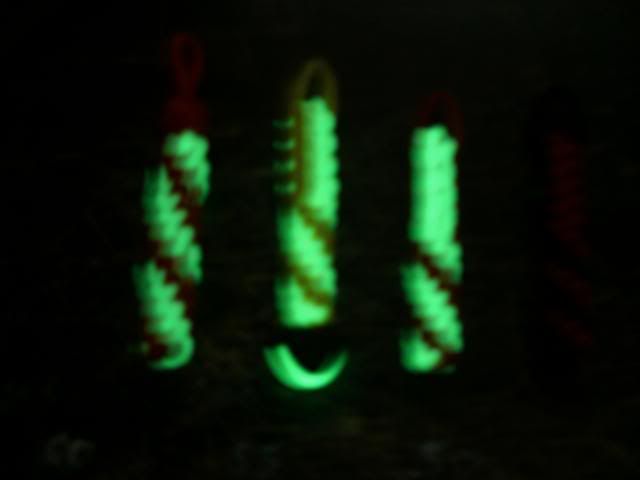 CIMG2906Small.jpg