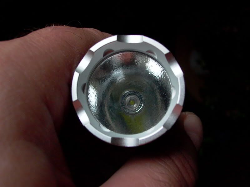 P1000036.jpg