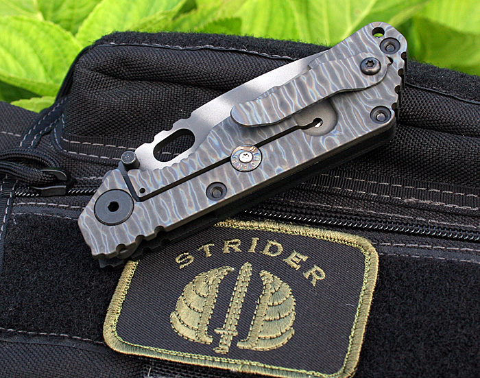 strider_sng_009.jpg