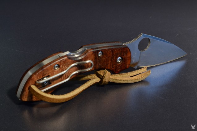dragonfly_koa_2-637x425.jpg
