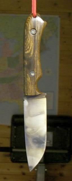 CIMG4085Small.jpg