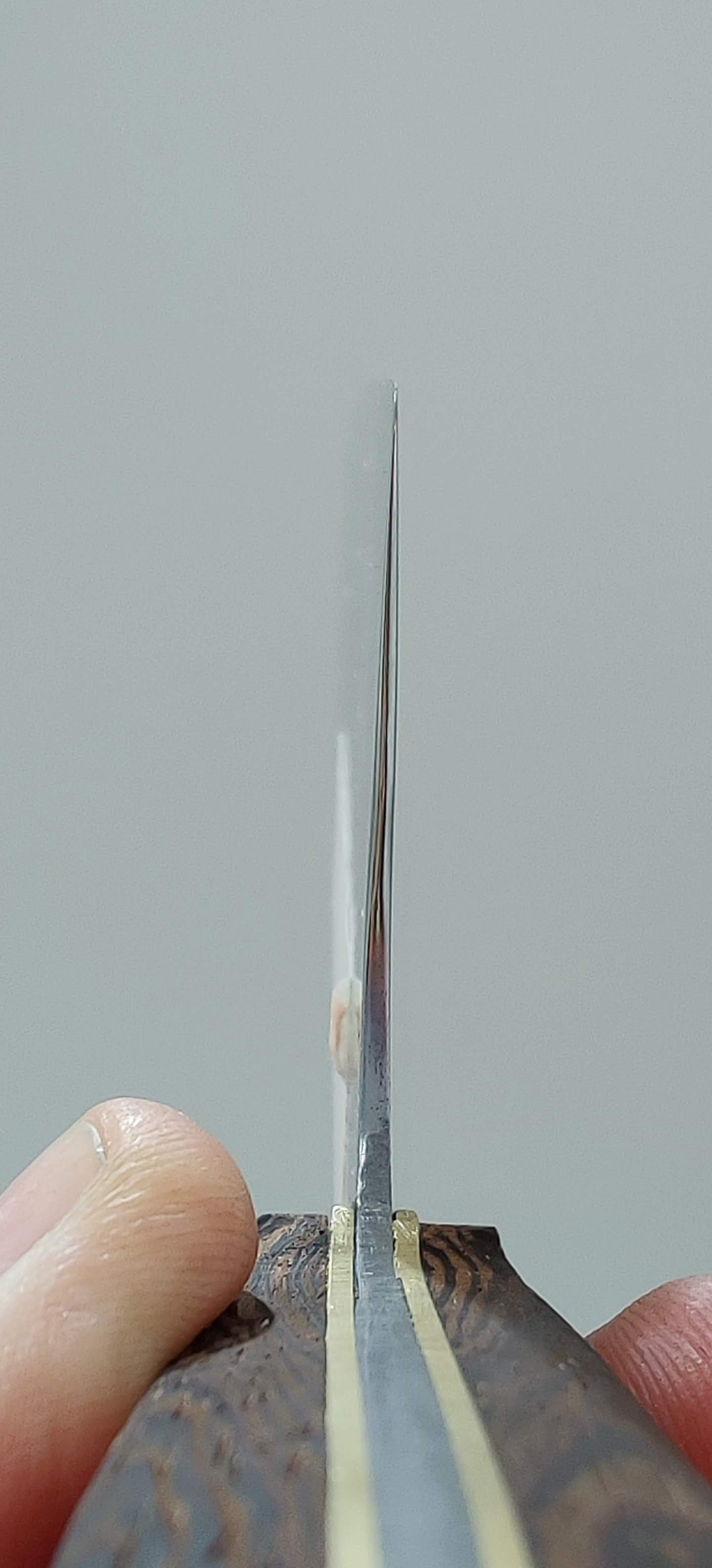 Screenshot-20210121-132346.jpg
