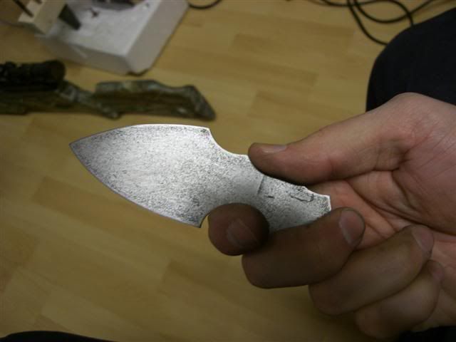 CIMG2894Small.jpg