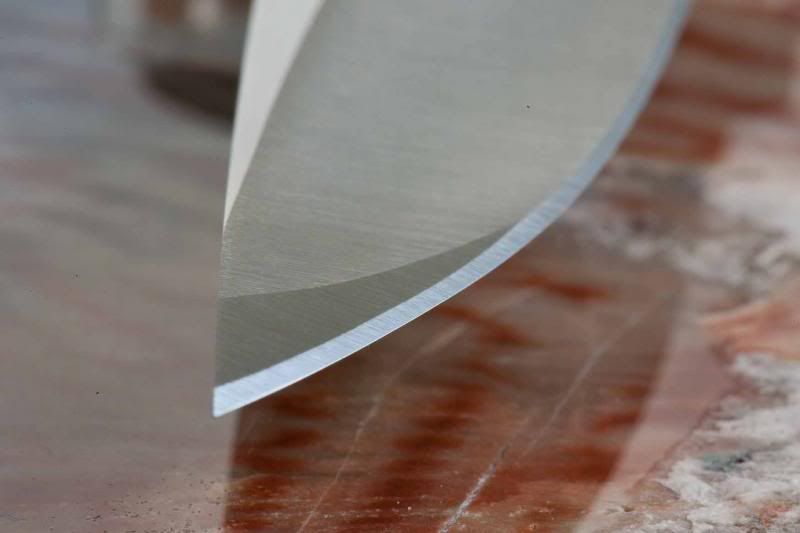 SpydercoVallotton11_zps62f7e359.jpg