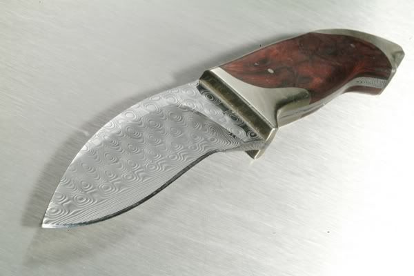 DSCF3838Kopie.jpg