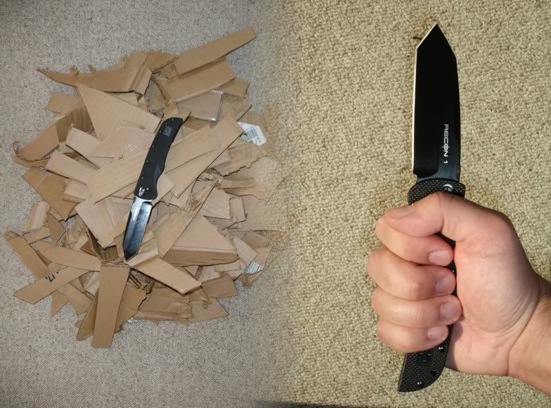 R1f.jpg