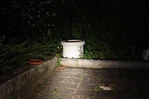 SC50w_4-14_500_x_500_.jpg