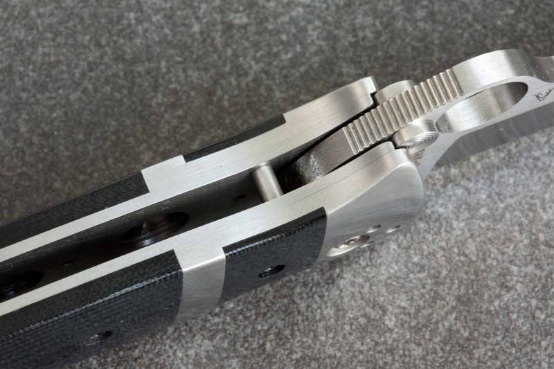 SpydercoVallotton18_zpsdb3401b6.jpg
