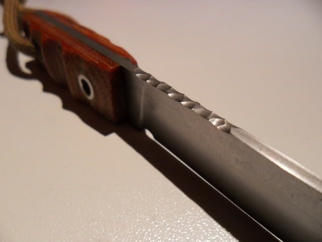 SAM_4048.jpg