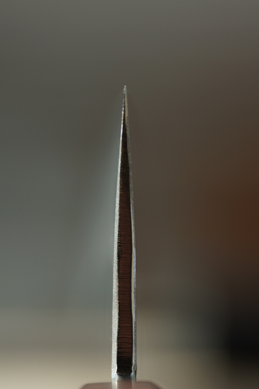 24704405nk.jpg