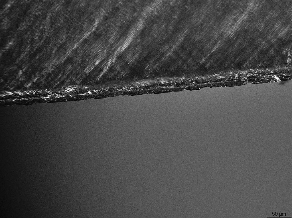 42216231qu.jpg
