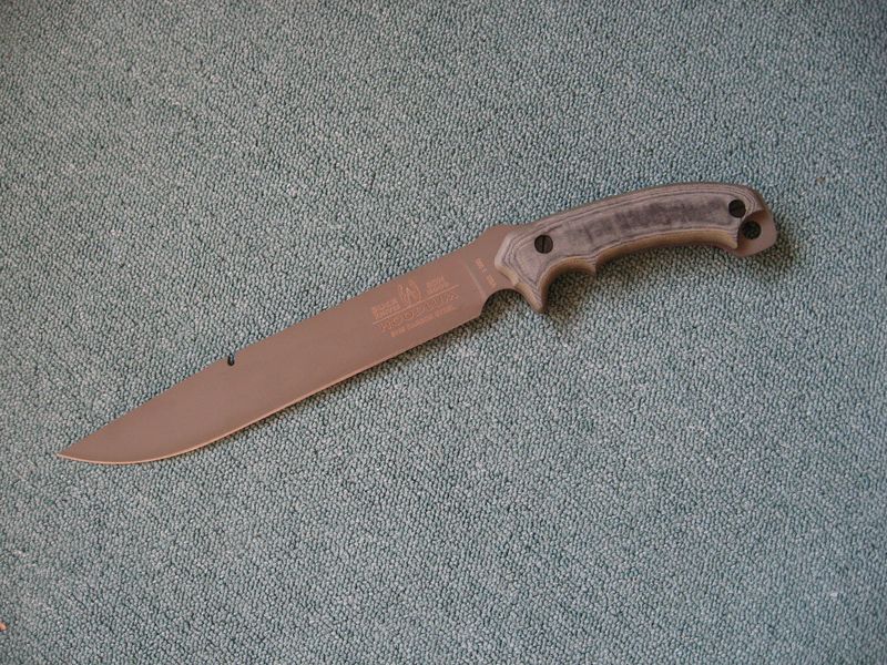 Buck_6_.JPG