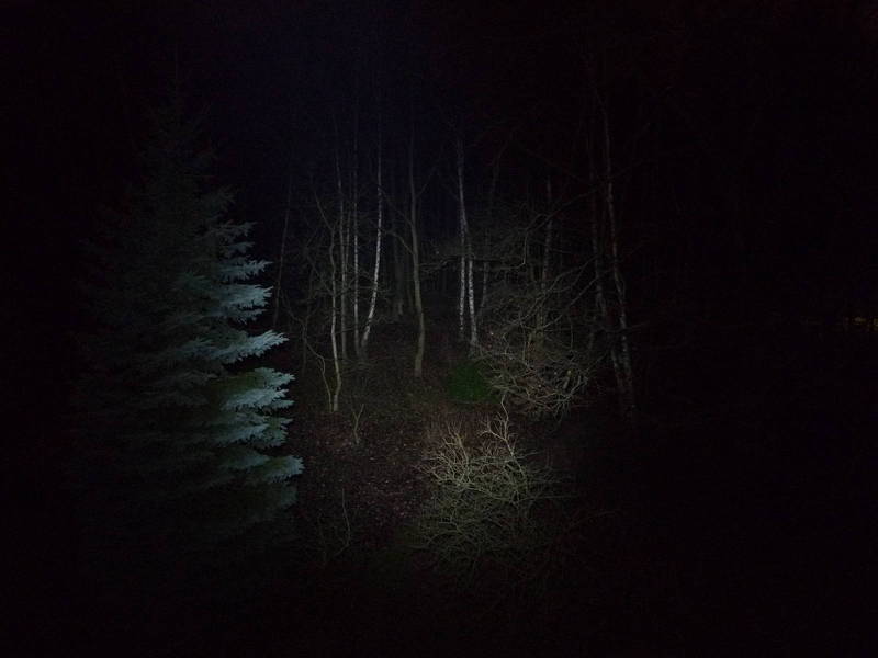 P1020420.JPG