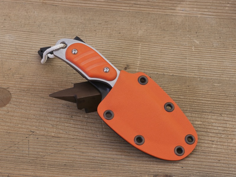 Wilkins_mini-1.jpg