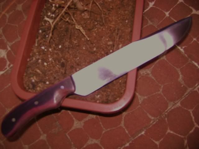 DSC00011.jpg