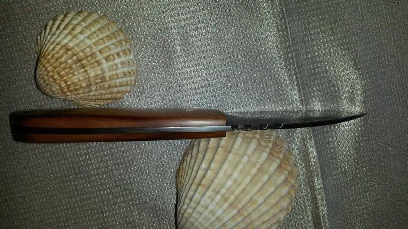 21062096il.jpg