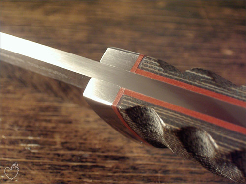 boker_savannah_03.jpg