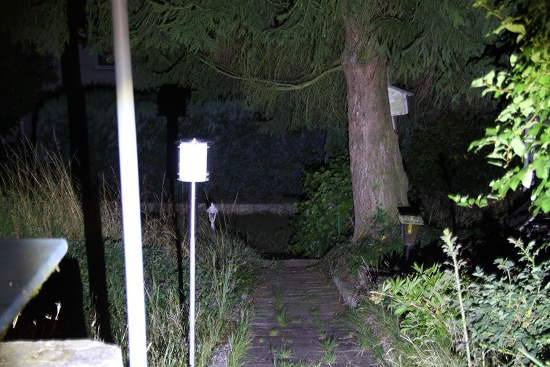 No_Name-01_550_x_550_.jpg