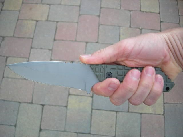 DSCN5331.jpg