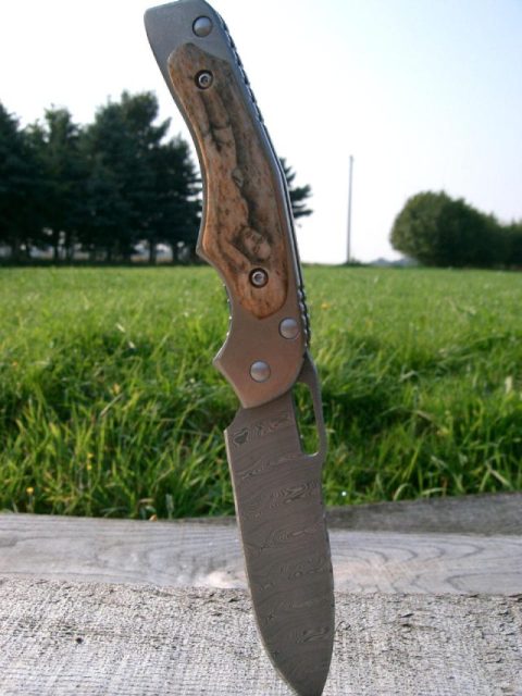 skf7.jpg